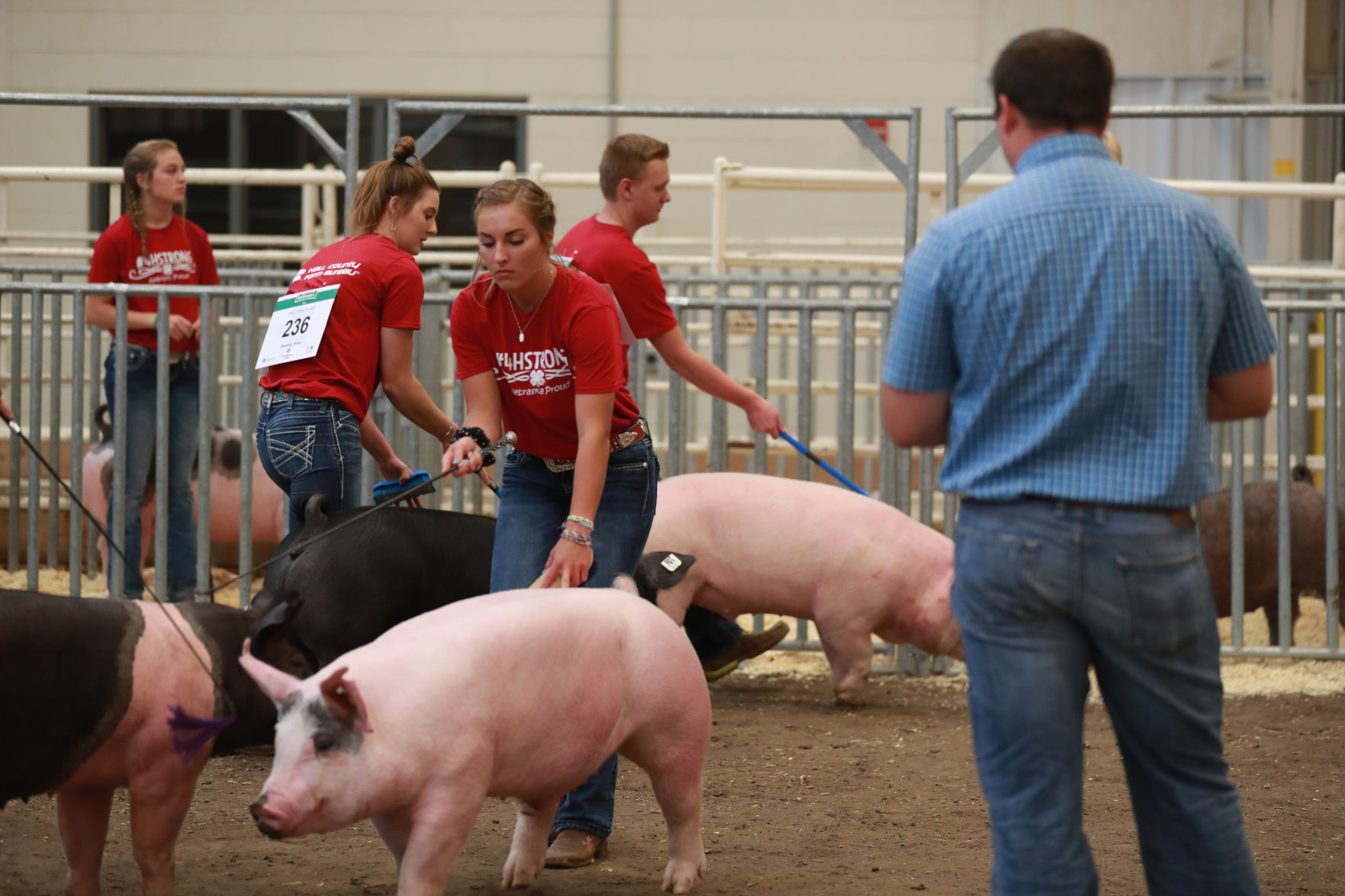 071119_HallCoFair27_bjs.JPG